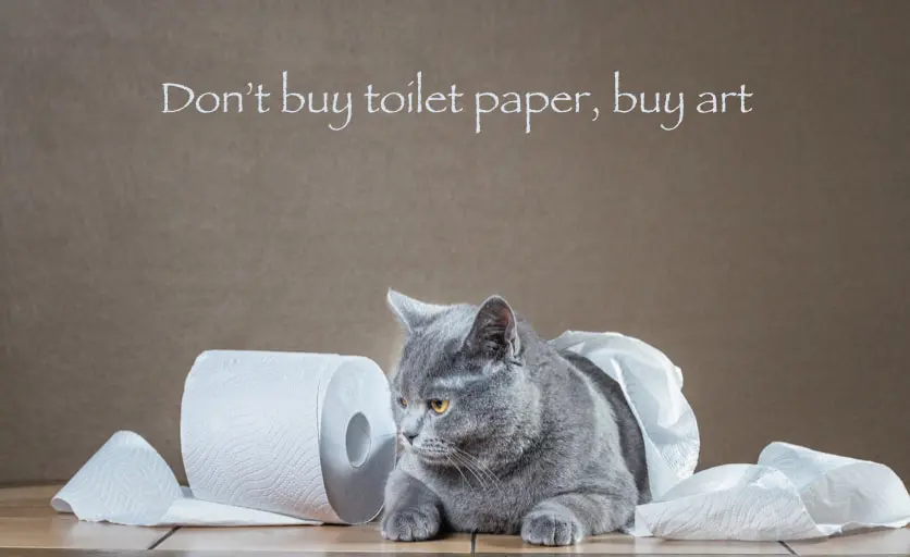A photo of a cat with toilet paper